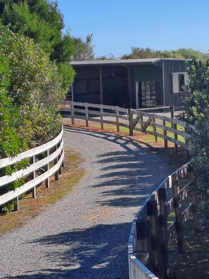 Kiwi Cabin And Homestay At Koru With Hot Tub Barrytown Extérieur photo